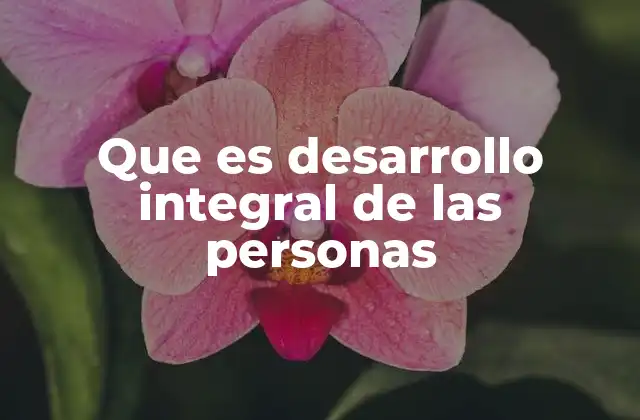 Que es Desarrollo Integral de las Personas