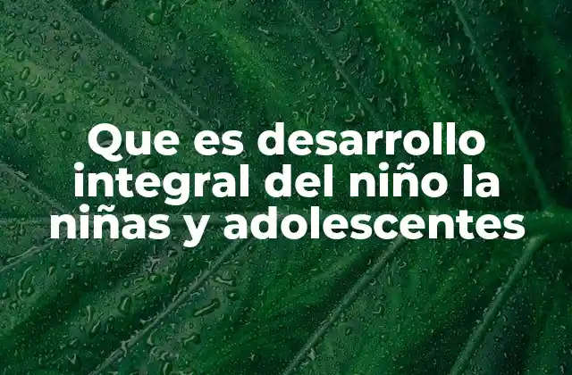 Que es Desarrollo Integral Del Niño la Niñas y Adolescentes