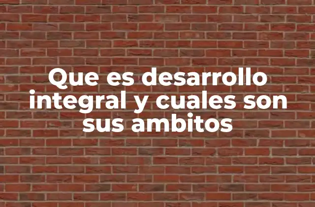 Que es Desarrollo Integral y Cuales Son Sus Ambitos