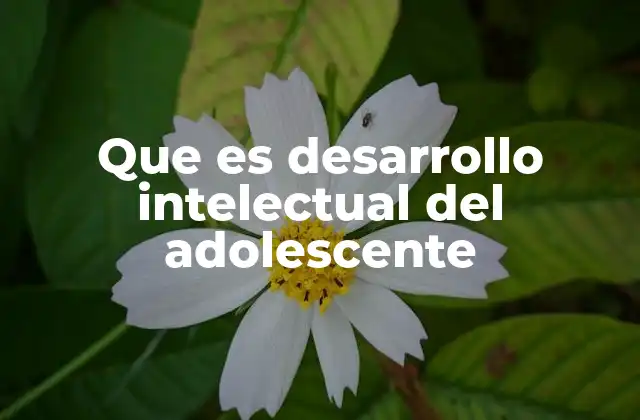 Que es Desarrollo Intelectual Del Adolescente