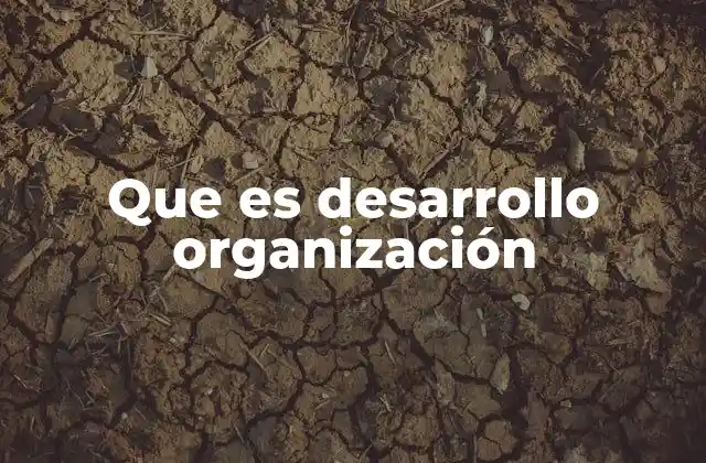 Que es Desarrollo Organización