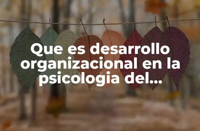 Que es Desarrollo Organizacional en la Psicologia Del Mexicano