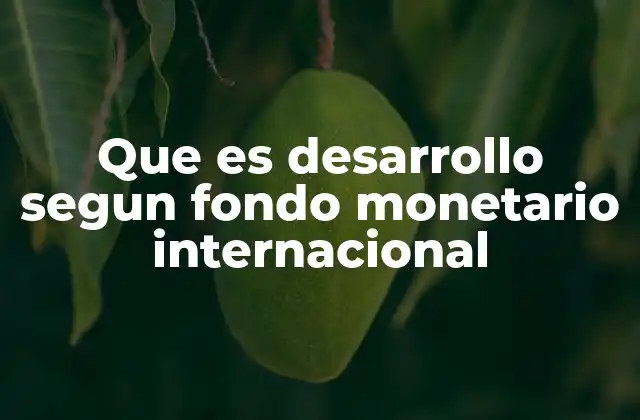 Que es Desarrollo Segun Fondo Monetario Internacional