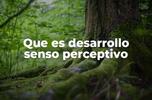 ¿Cómo se relaciona el desarrollo senso perceptivo con el aprendizaje?