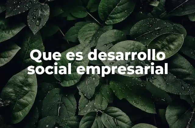 Que es Desarrollo Social Empresarial