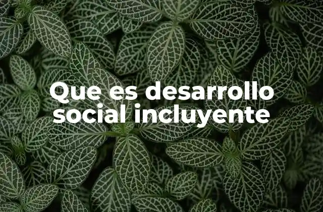 Que es Desarrollo Social Incluyente