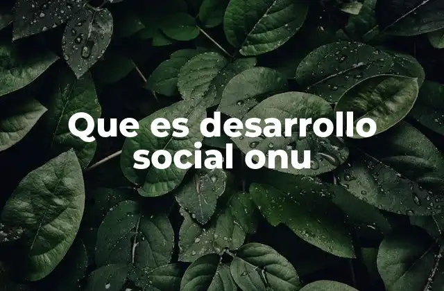 Que es Desarrollo Social Onu 2 El papel del desarrollo social en la agenda internacional