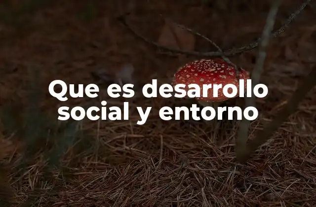 Que es Desarrollo Social y Entorno