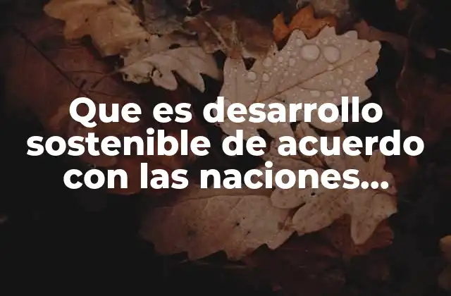 Que es Desarrollo Sostenible de Acuerdo con las Naciones Unidas