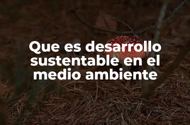 Que es Desarrollo Sustentable en el Medio Ambiente