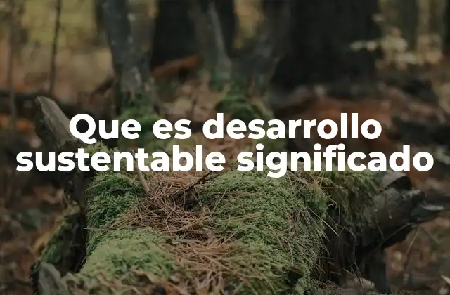 La importancia de equilibrar el crecimiento con la responsabilidad ambiental