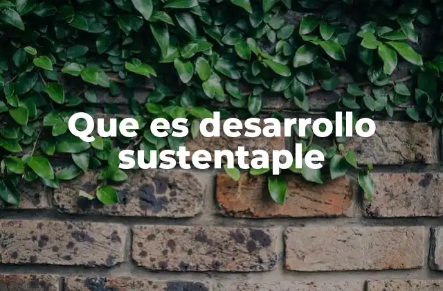 Que es Desarrollo Sustentaple