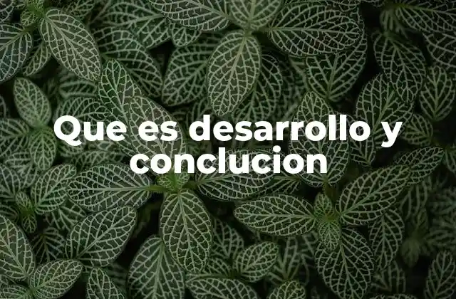 Que es Desarrollo y Conclucion