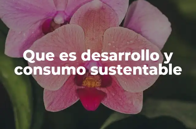 Que es Desarrollo y Consumo Sustentable 2 La importancia del equilibrio entre progreso y naturaleza