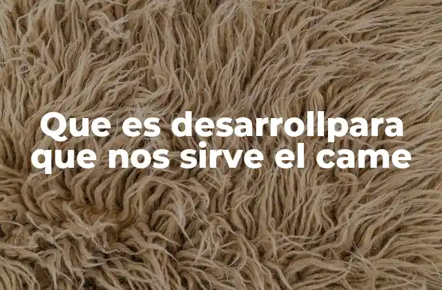 Que es Desarrollpara que Nos Sirve el Came