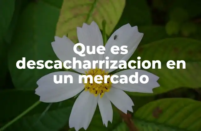 Que es Descacharrizacion en un Mercado