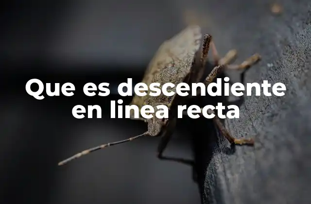 Que es Descendiente en Linea Recta