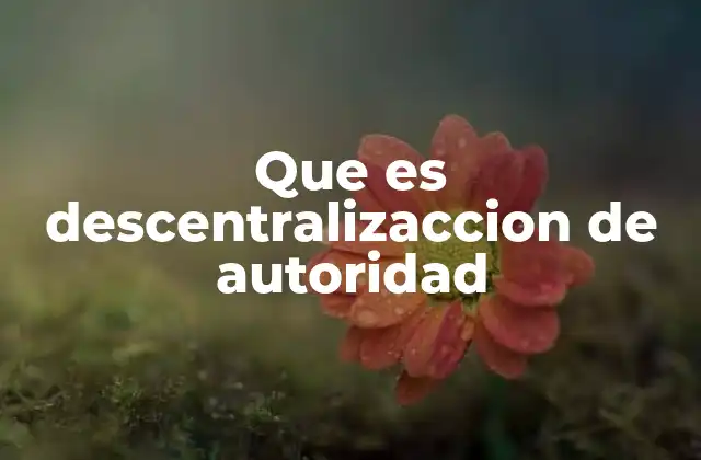 Que es Descentralizaccion de Autoridad