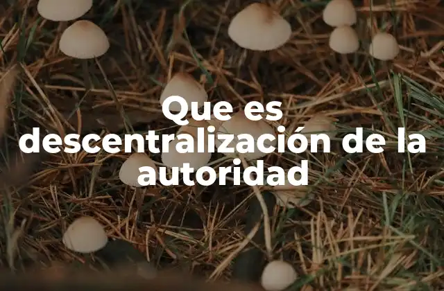 Que es Descentralización de la Autoridad