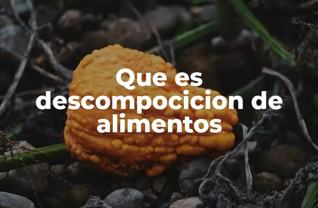 Que es Descompocicion de Alimentos