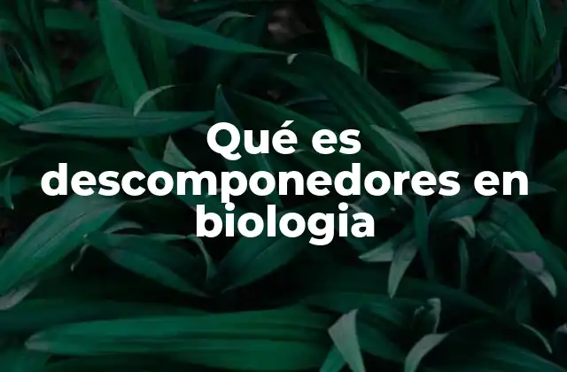 Qué es Descomponedores en Biologia
