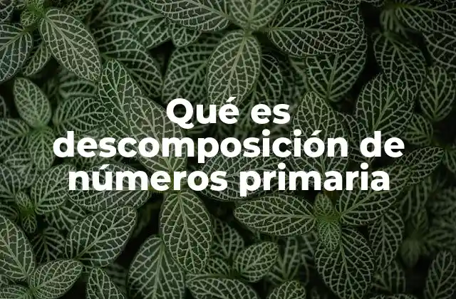 Qué es Descomposición de Números Primaria