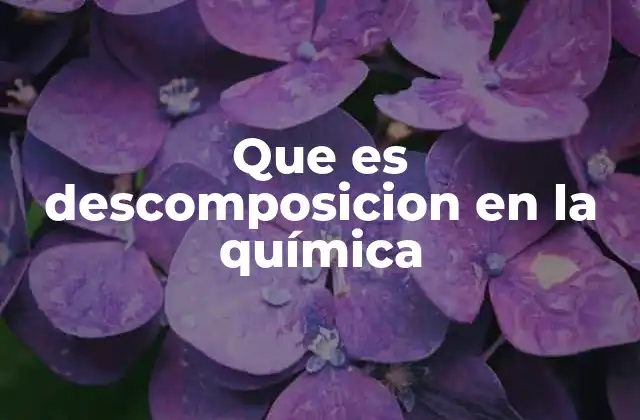 La importancia de los procesos de ruptura molecular en la ciencia