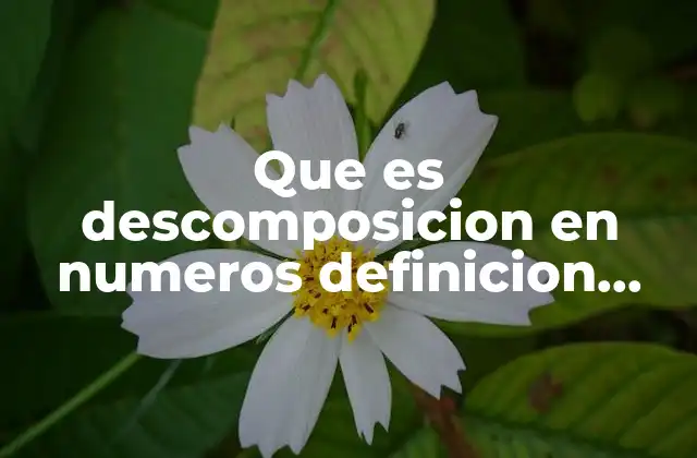 Que es Descomposicion en Numeros Definicion para Niños