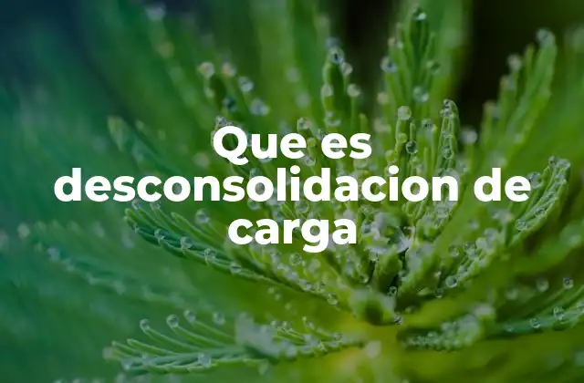 Que es Desconsolidacion de Carga