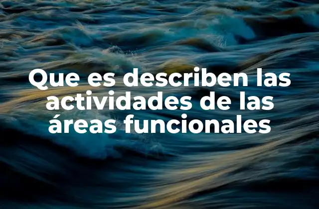 Que es Describen las Actividades de las Áreas Funcionales 2 La importancia de identificar actividades en cada área funcional