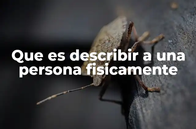 Que es Describir a una Persona Fisicamente