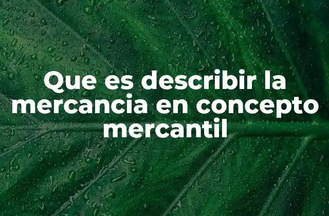 Que es Describir la Mercancia en Concepto Mercantil