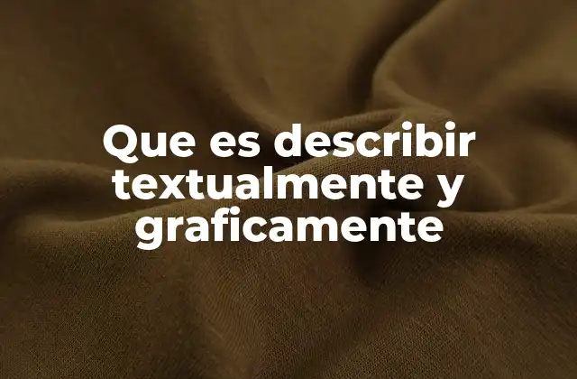 Que es Describir Textualmente y Graficamente