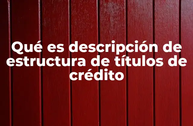 Qué es Descripción de Estructura de Títulos de Crédito