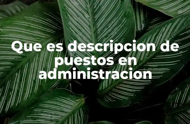 Que es Descripcion de Puestos en Administracion