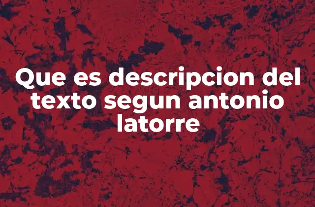 La importancia del enfoque descriptivo en el análisis del texto