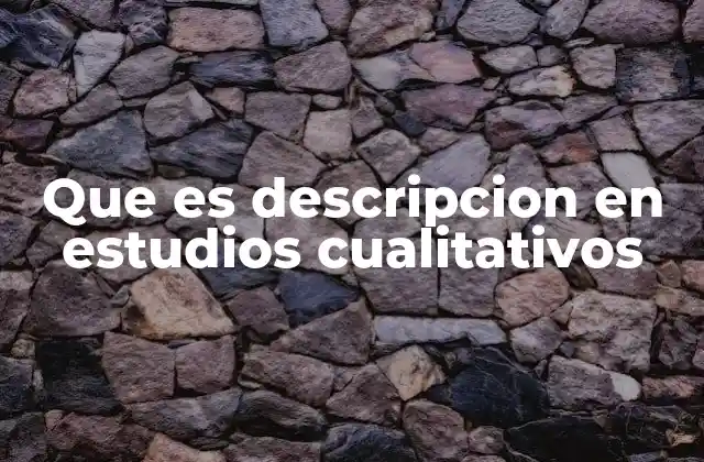 Que es Descripcion en Estudios Cualitativos