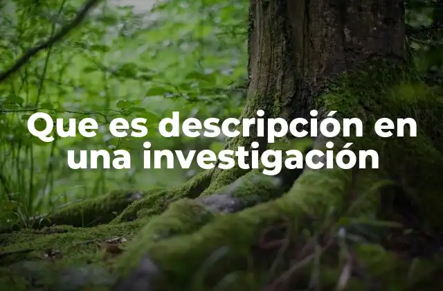 Que es Descripción en una Investigación