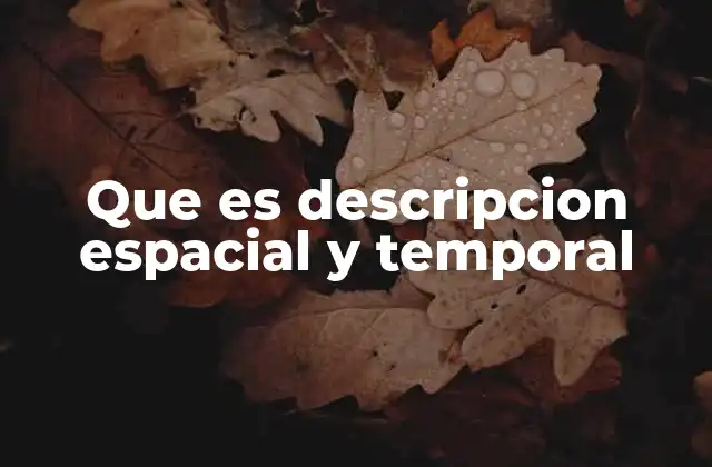 Que es Descripcion Espacial y Temporal