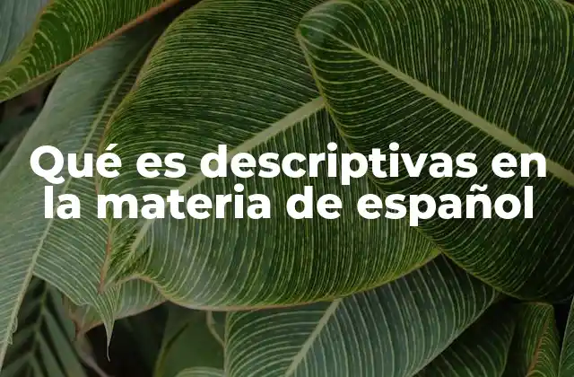 Qué es Descriptivas en la Materia de Español 2 La importancia del enfoque descriptivo en la enseñanza del español