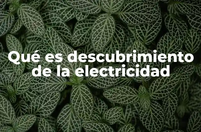 Qué es Descubrimiento de la Electricidad