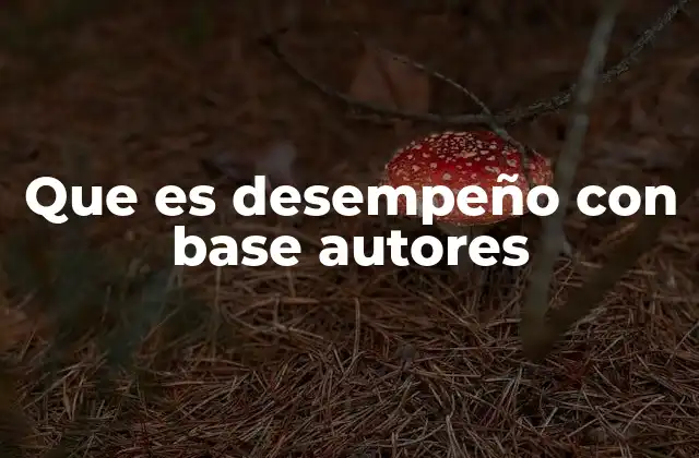 Que es Desempeño con Base Autores 2 El rol de los autores en la definición del desempeño