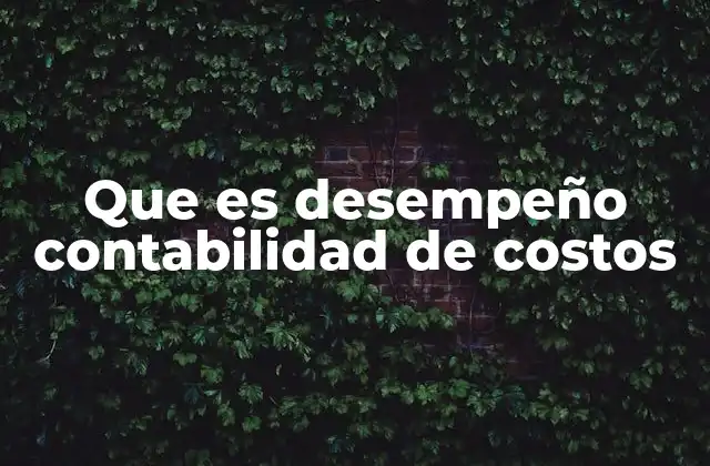Que es Desempeño Contabilidad de Costos