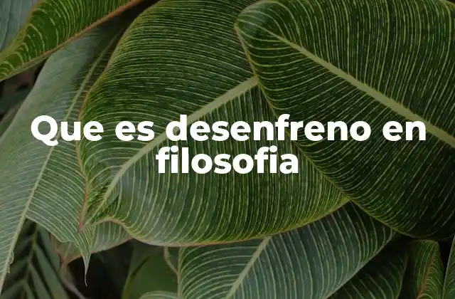 Que es Desenfreno en Filosofia