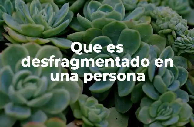 Que es Desfragmentado en una Persona