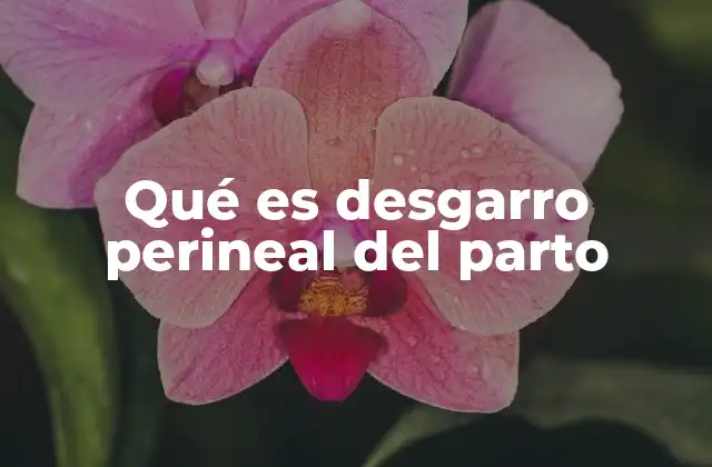 Qué es Desgarro Perineal Del Parto