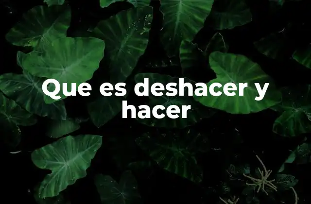 Que es Deshacer y Hacer