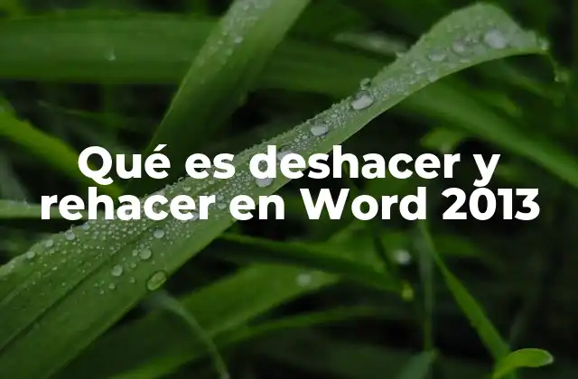 Qué es Deshacer y Rehacer en Word 2013