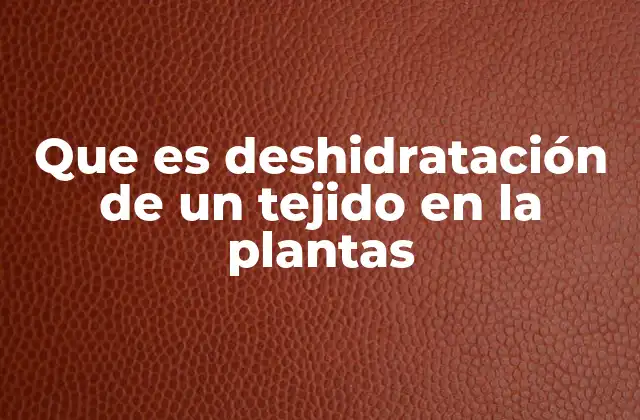 Que es Deshidratación de un Tejido en la Plantas