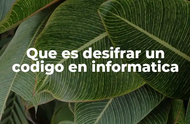 Que es Desifrar un Codigo en Informatica